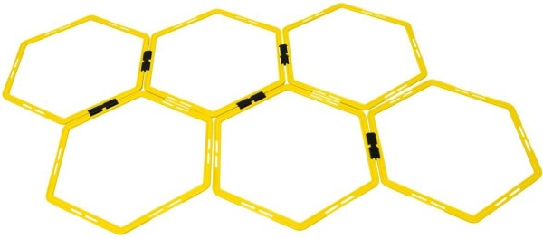 Agility Waben Set, 6 Stück